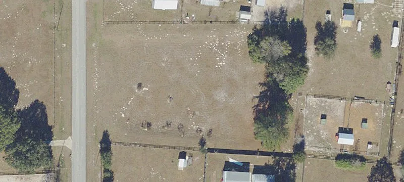 Summerfield, FL 34491