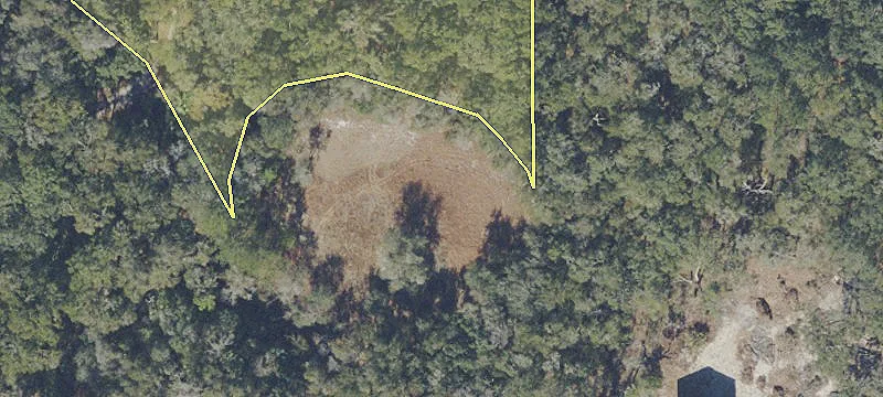 Anthony, FL 32617