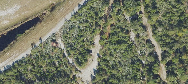 Mims, FL 32754