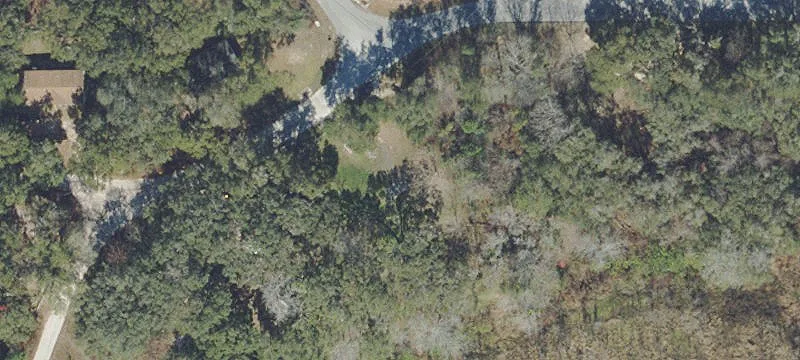 Belleview, FL 34420