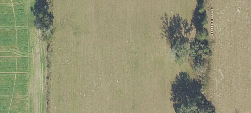Newberry, FL 32669
