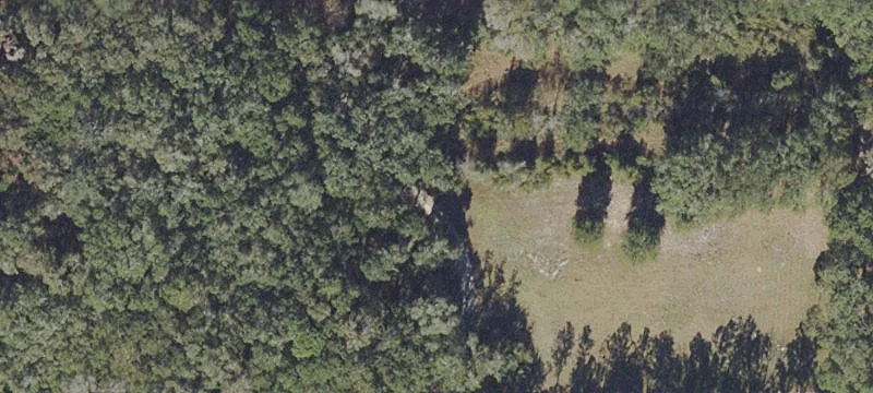 Summerfield, FL 34491