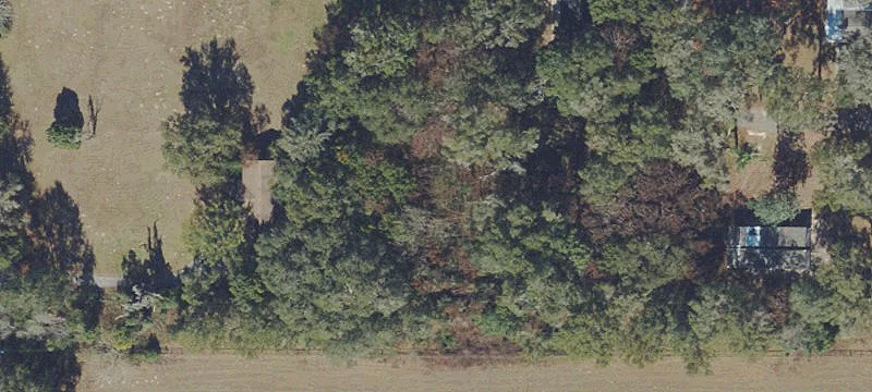 Summerfield, FL 34491