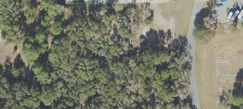 Tuscan Oaks Ct
