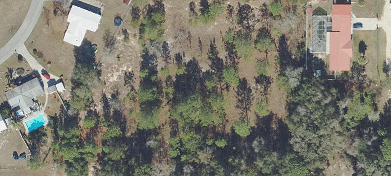 Belleview, FL 34420