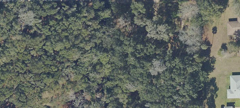 Anthony, FL 32617