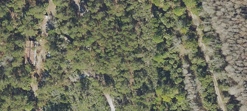 Mims, FL 32754