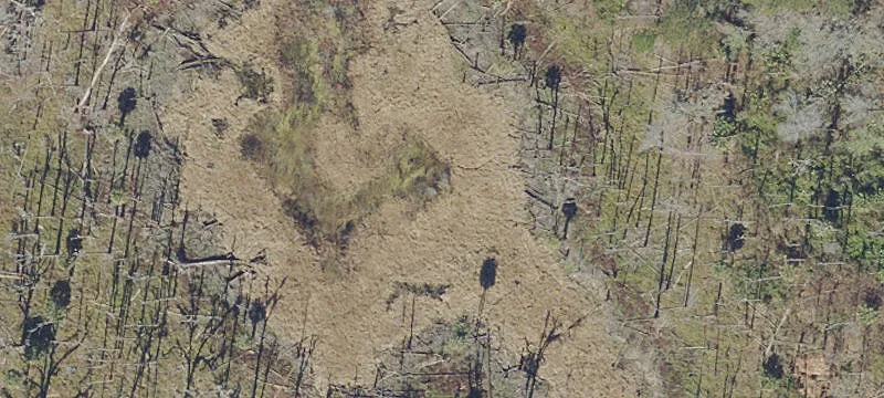 Reddick, FL 32686
