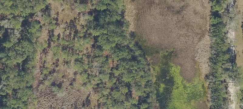 Hawthorne, FL 32640