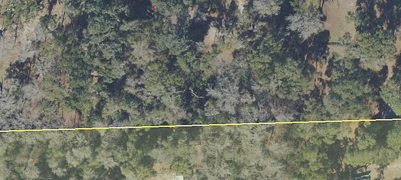 Anthony, FL 32617