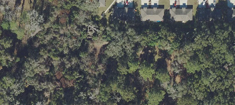 Belleview, FL 34420