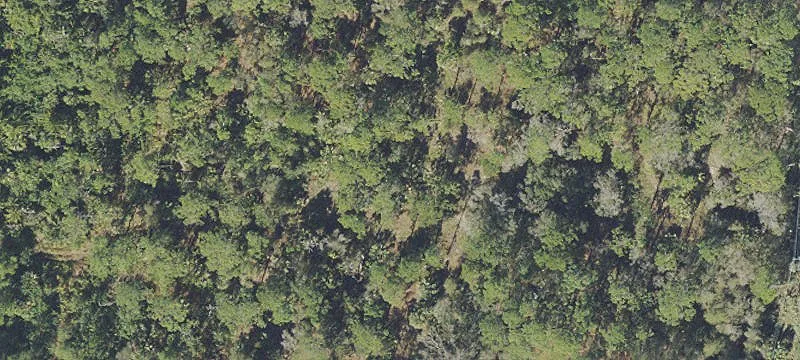 Fellsmere, FL 32948