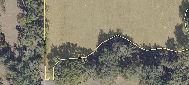 Williston, FL 32696