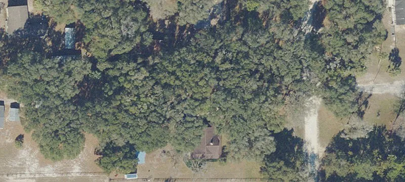 Anthony, FL 32617