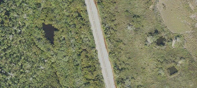 Mims, FL 32754