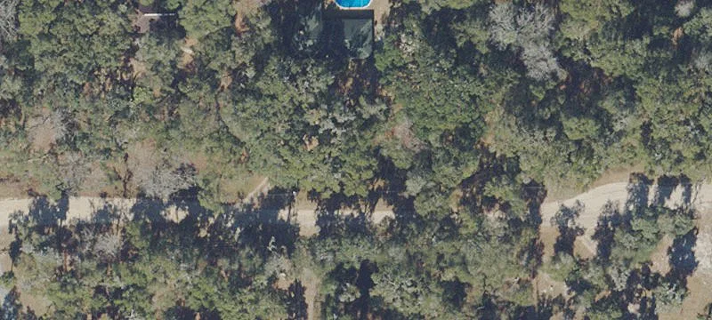 Anthony, FL 32617