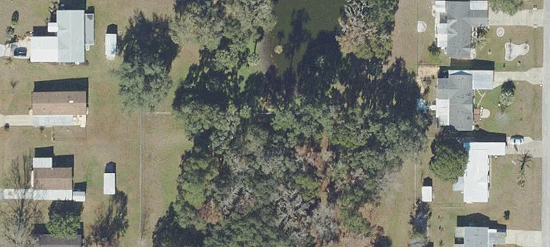 Belleview, FL 34420