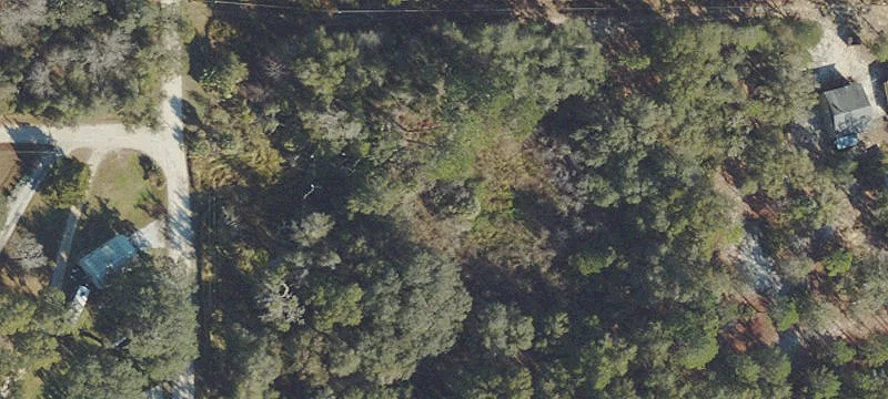 Salt Springs, FL 32134