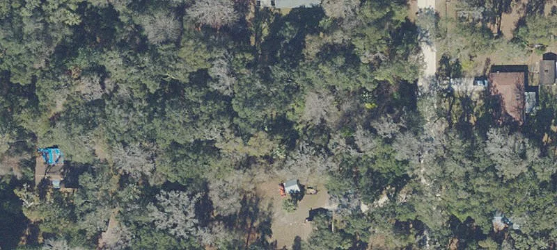 Anthony, FL 32617