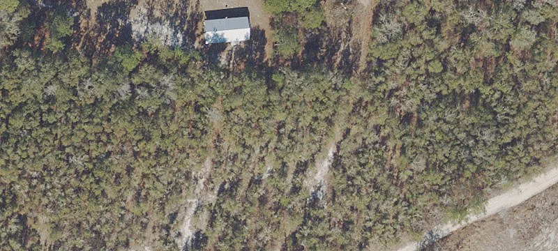 Hosford, FL 32334