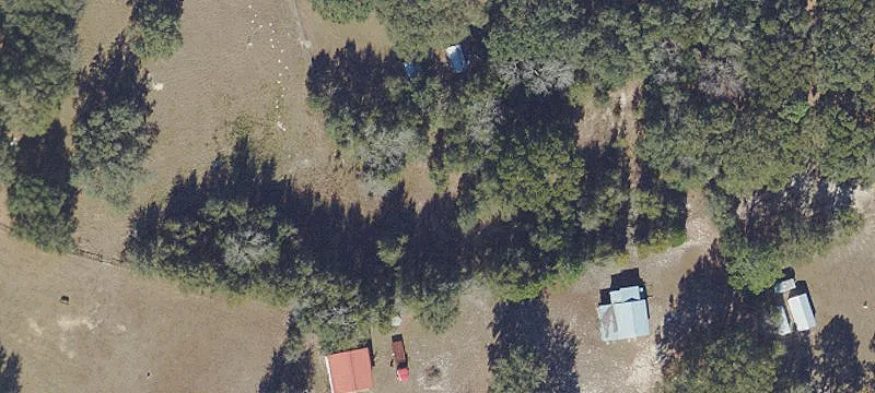 Summerfield, FL 34491