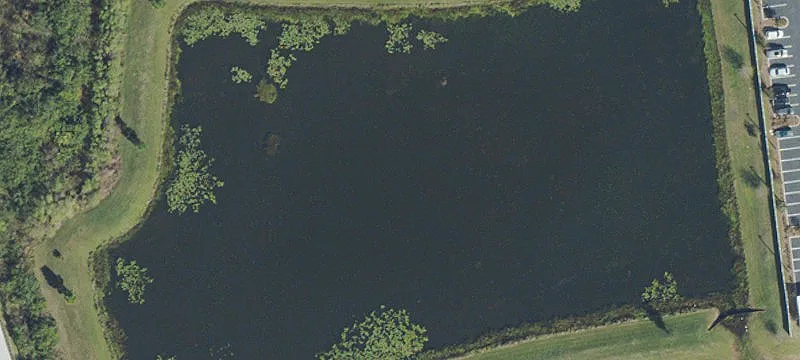 Odessa, FL 33556