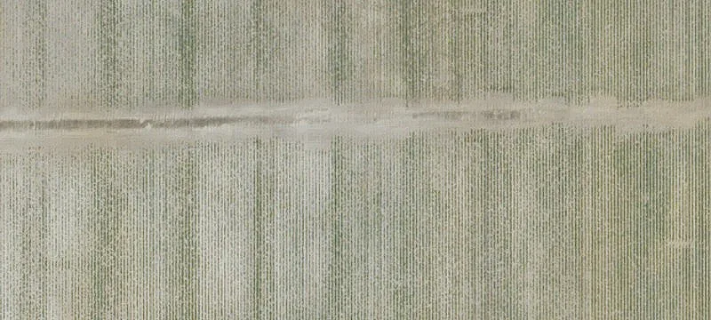 4999 County Rd 833