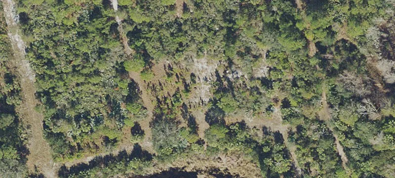 Mims, FL 32754