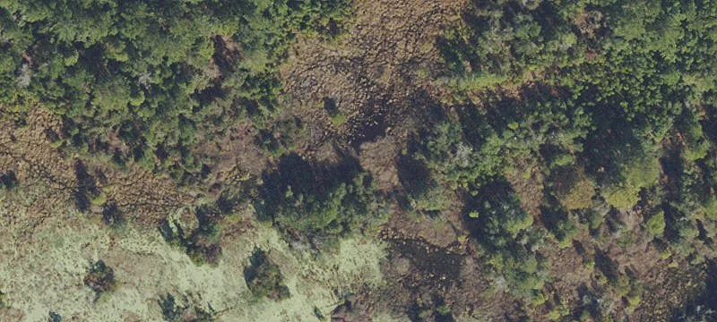 Florahome, FL 32140