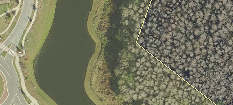 Odessa, FL 33556