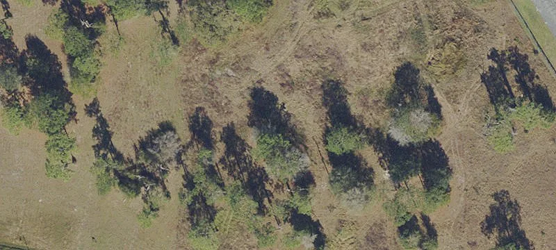 San Antonio, FL 33576
