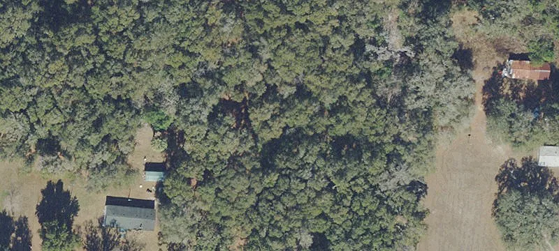 Reddick, FL 32686