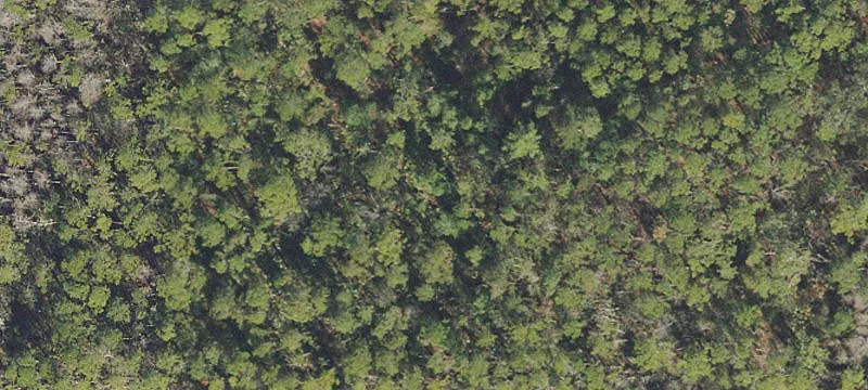Deland, FL 32724