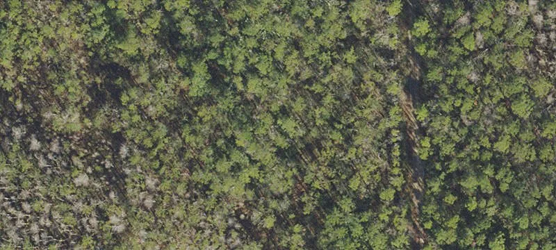 Deland, FL 32724