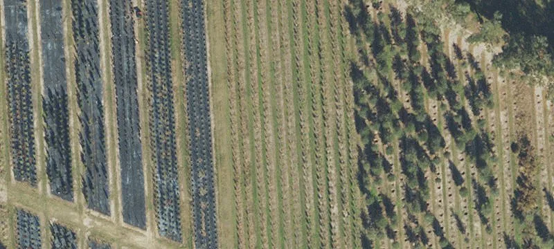 Alachua, FL 32615