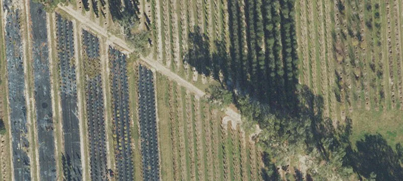 Alachua, FL 32615