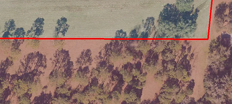 Anthony, FL 32617