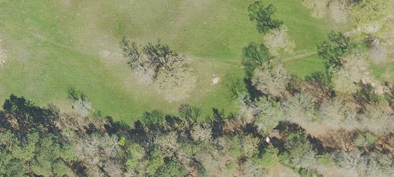 9681 Hwy 97
