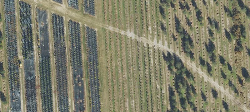 Alachua, FL 32615
