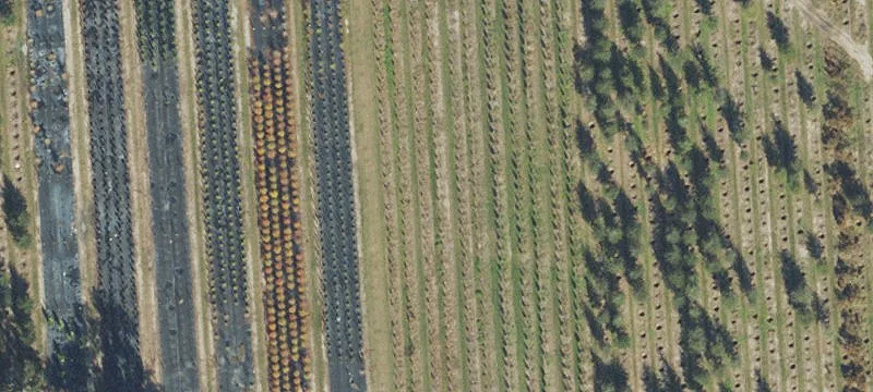 Alachua, FL 32615