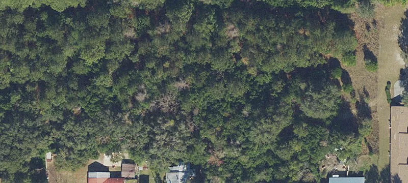High Springs, FL 32643