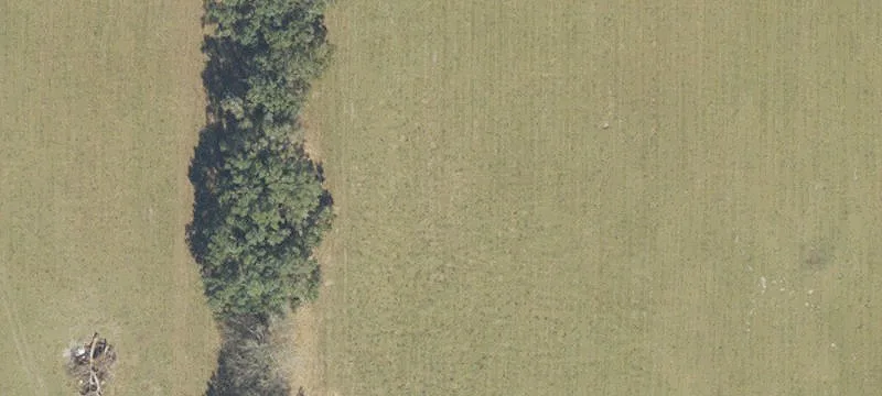 Newberry, FL 32669