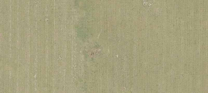 Newberry, FL 32669
