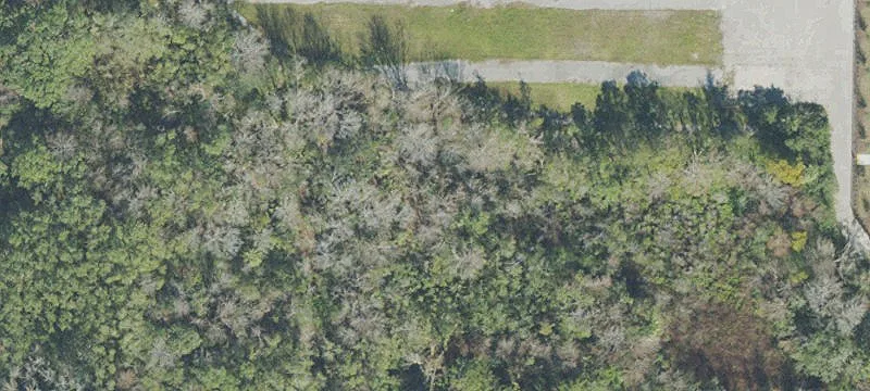 Longwood, FL 32750