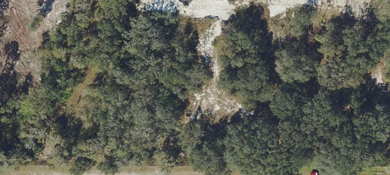 Plant City, FL 33566