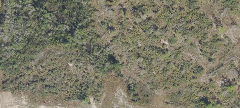 12928 Hwy 231