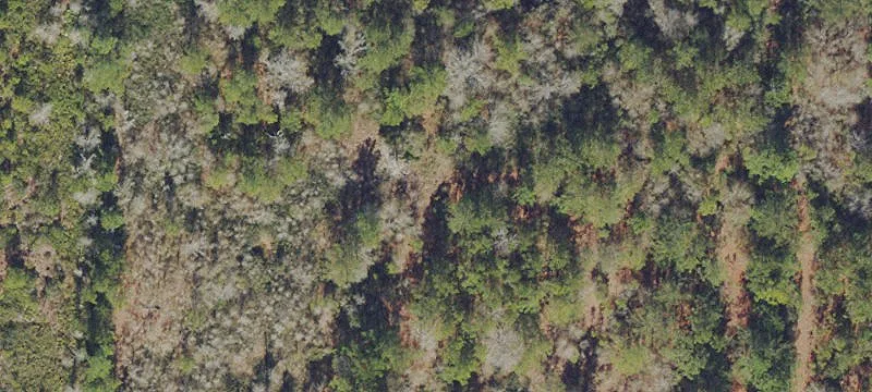 Gainesville, FL 32609