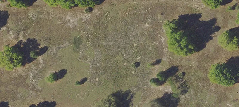24939 County Road 33