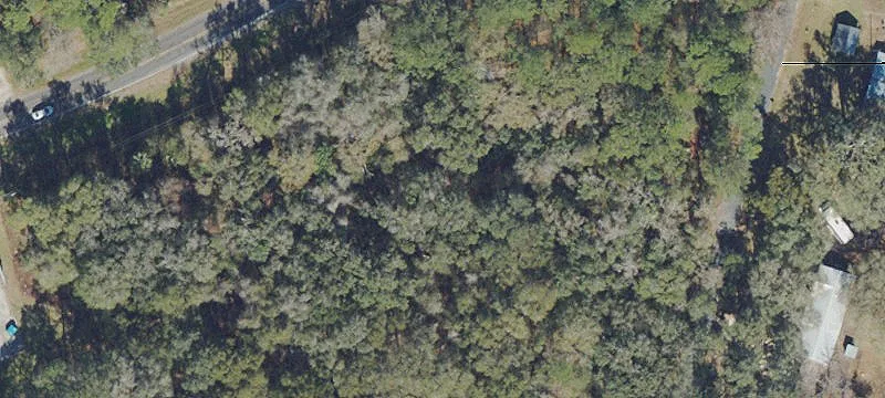 Micanopy, FL 32667