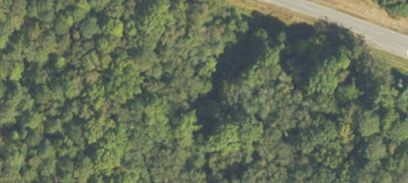 Senoia, GA 30276